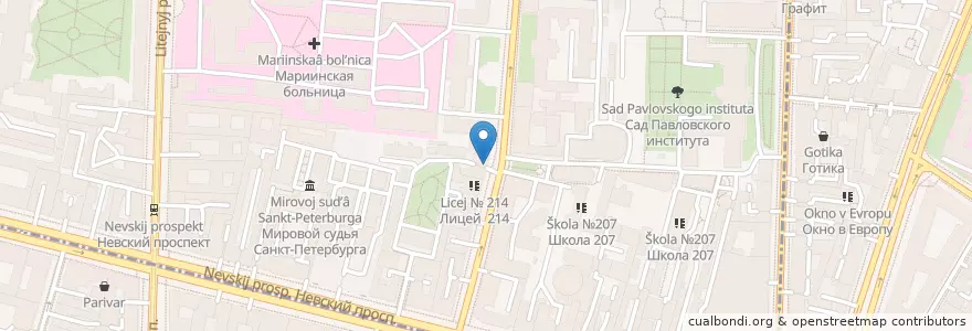 Mapa de ubicacion de Бакалавриат en Rusia, Северо-Западный Федеральный Округ, Óblast De Leningrado, San Petersburgo, Центральный Район.