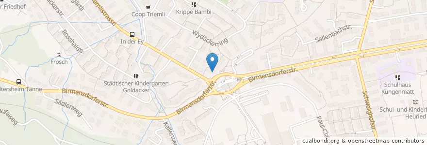 Mapa de ubicacion de Triemli-Apotheke & Drogerie en Suisse, Zurich, District De Zurich, Zurich.