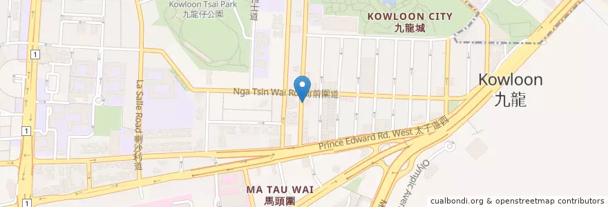 Mapa de ubicacion de Margaret Teresa Medical Centre en China, Provincia De Cantón, Hong Kong, Kowloon, Nuevos Territorios, 九龍城區 Kowloon City District.