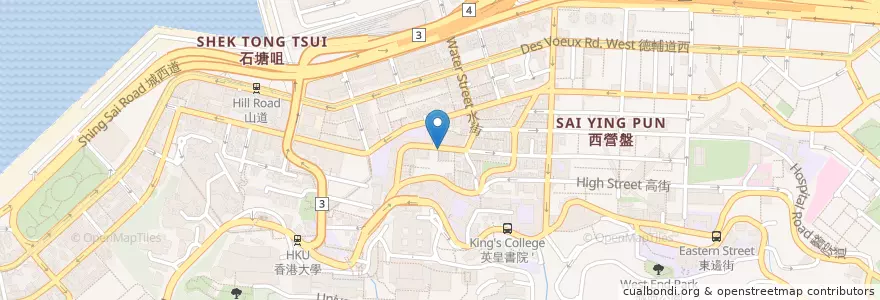 Mapa de ubicacion de Biorecovery Veterinary Clinic en 中国, 広東省, 香港, 香港島, 新界, 中西區 Central And Western District.