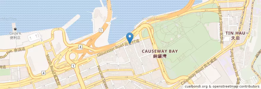 Mapa de ubicacion de Wild Fire en 中国, 広東省, 香港, 香港島, 新界, 灣仔區 Wan Chai District.