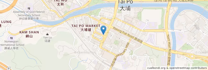Mapa de ubicacion de 蔡立謙醫生 en China, Hong Kong, Cantão, Novos Territórios, 大埔區 Tai Po District.