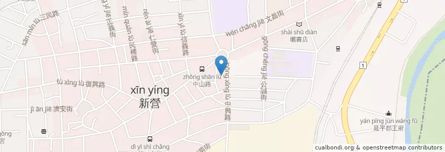 Mapa de ubicacion de 新興醫院 en 臺灣, 臺南市, 新營區.