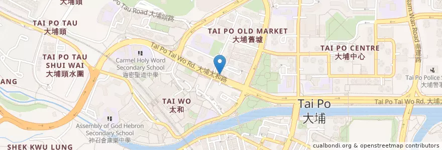 Mapa de ubicacion de Cafe Swan en 中国, 香港 Hong Kong, 广东省, 新界 New Territories, 大埔區 Tai Po District.