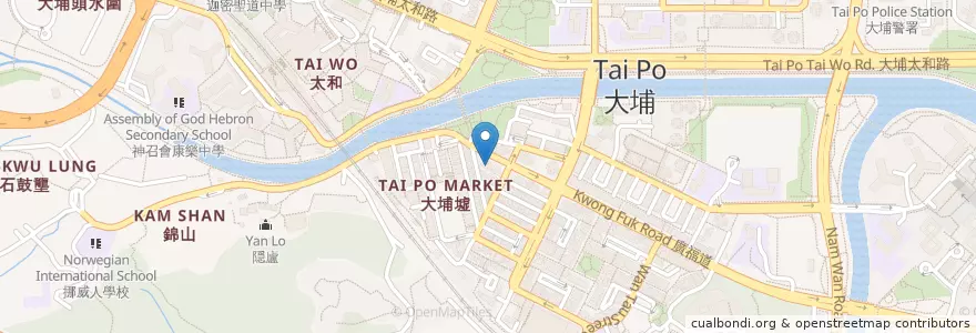 Mapa de ubicacion de Yan Oi Tong Tse Ng Tsui Ha Medical Centre en China, Hongkong, Guangdong, New Territories, 大埔區 Tai Po District.