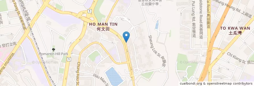 Mapa de ubicacion de McDonald's en China, Guangdong, Hong Kong, Kowloon, New Territories, Kowloon City District.