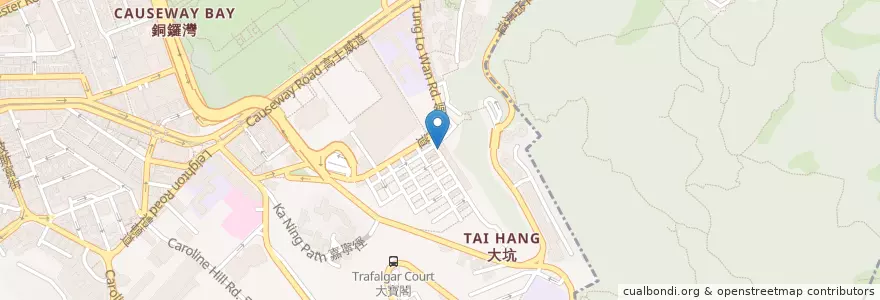 Mapa de ubicacion de Tiarijin Medical Specialist Center en Китай, Гуандун, Гонконг, Гонконг, Новые Территории, 灣仔區 Wan Chai District.