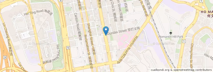 Mapa de ubicacion de 星展銀行 DBS en الصين, غوانغدونغ, هونغ كونغ, كولون, الأقاليم الجديدة, 油尖旺區 Yau Tsim Mong District.