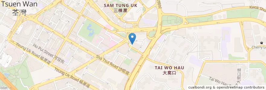 Mapa de ubicacion de 劍橋護老院 Cambridge Nursing Home en 중국, 광둥성, 홍콩, 신제, 荃灣區 Tsuen Wan District.