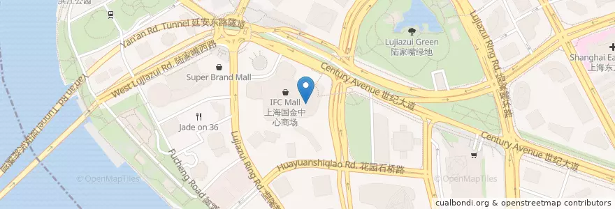 Mapa de ubicacion de Palace IFC en 中国, 上海市, 浦东新区.