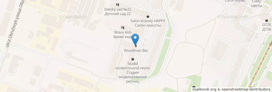 Mapa de ubicacion de Woodman Bar en Rússia, Северо-Западный Федеральный Округ, Ленинградская Область, São Petersburgo, Калининский Район, Округ Академическое.
