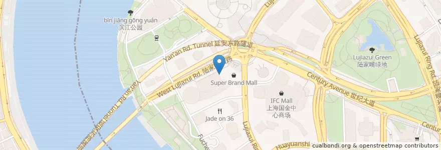 Mapa de ubicacion de 星美国际影城 en China, Xangai, Pudong.