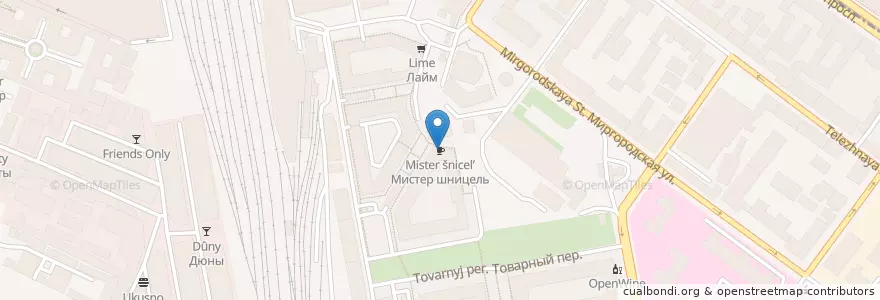 Mapa de ubicacion de Мистер шницель en Rusia, Северо-Западный Федеральный Округ, Óblast De Leningrado, San Petersburgo, Центральный Район, Округ Лиговка-Ямская.