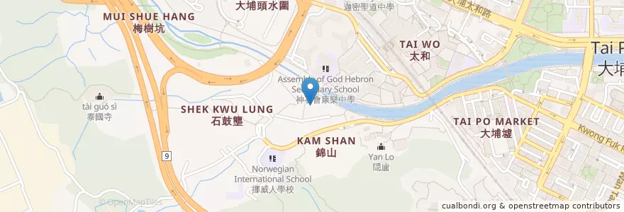 Mapa de ubicacion de 105 冰室 en China, Hongkong, Guangdong, New Territories, 大埔區 Tai Po District.