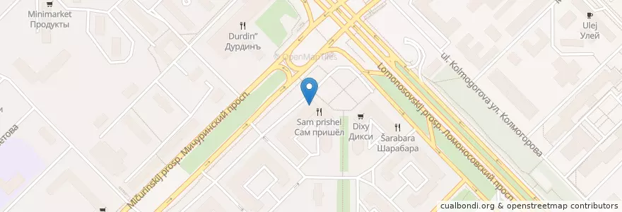 Mapa de ubicacion de Сбербанк en ロシア, 中央連邦管区, モスクワ, Западный Административный Округ, Район Раменки.