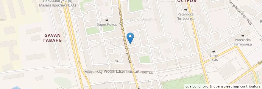 Mapa de ubicacion de Гавань en Russia, Northwestern Federal District, Leningrad Oblast, Saint Petersburg, Василеостровский Район, Округ Гавань.
