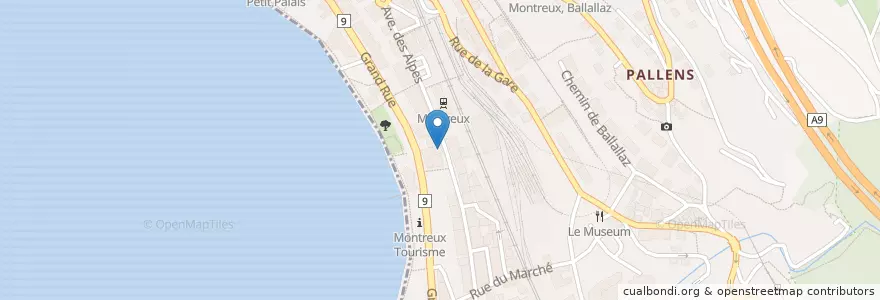 Mapa de ubicacion de Pharmacie et orthopédie de Montreux en Швейцария, Во, District De La Riviera-Pays-D’Enhaut, Монтрё.