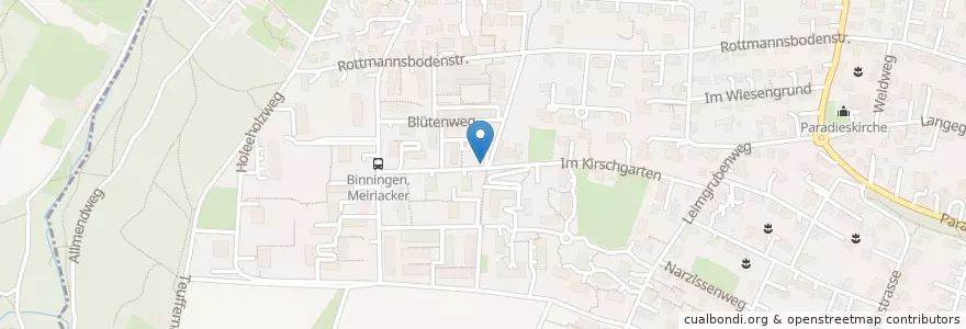 Mapa de ubicacion de Recycling Im Kirschgarten en Switzerland, Basel-Landschaft, Bezirk Arlesheim, Binningen.