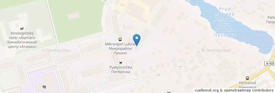 Mapa de ubicacion de Ветеринарный центр en ロシア, 中央連邦管区, モスクワ州, Городской Округ Балашиха.