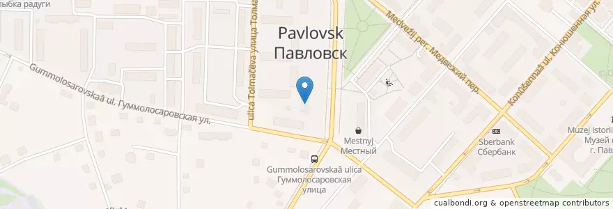 Mapa de ubicacion de Детская поликлиника en Russia, Northwestern Federal District, Leningrad Oblast, Saint Petersburg, Пушкинский Район, Pavlovsk.