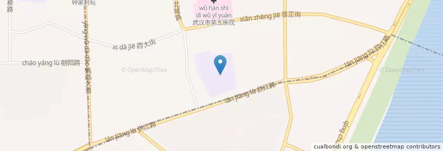 Mapa de ubicacion de Wuhan senior high school en 中国, 湖北省, 武汉市, 汉阳区, 建桥街道.