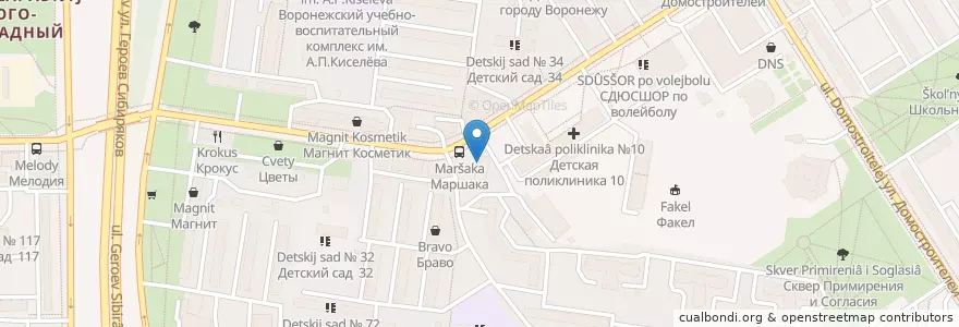 Mapa de ubicacion de Аптека "Забота" en Rusia, Distrito Federal Central, Óblast De Vorónezh, Городской Округ Воронеж.