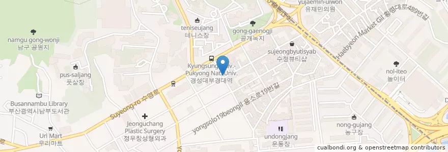 Mapa de ubicacion de 갈매기브루잉 경성대점 en Республика Корея, Пусан, 남구.
