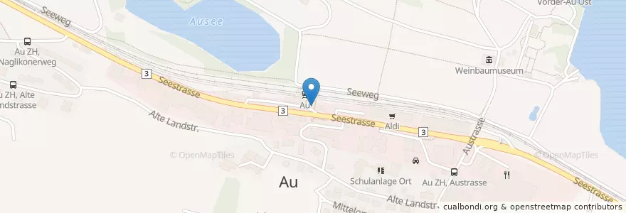 Mapa de ubicacion de Au Pizza Pasta Snacks take Away en Suíça, Zurique, Bezirk Horgen, Wädenswil.