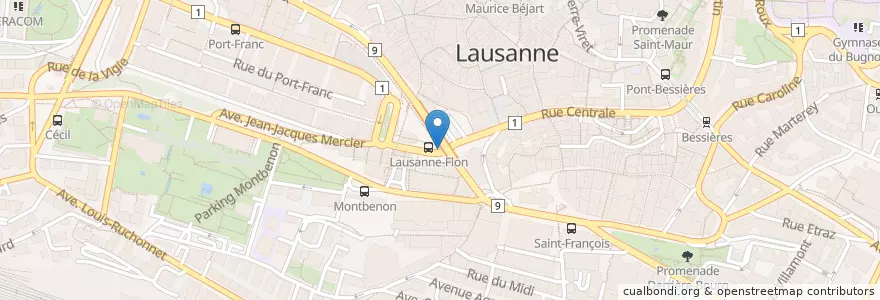 Mapa de ubicacion de Place de l'Europe en Schweiz, Waadt, District De Lausanne, Lausanne.