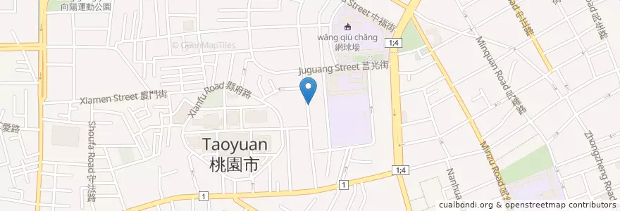Mapa de ubicacion de 仁心堂中醫 en تایوان, 桃園市, 桃園區.