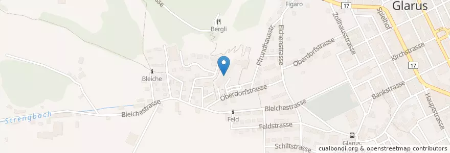 Mapa de ubicacion de Alterszentrum Bergli en Schweiz/Suisse/Svizzera/Svizra, Glarus, Glarus.