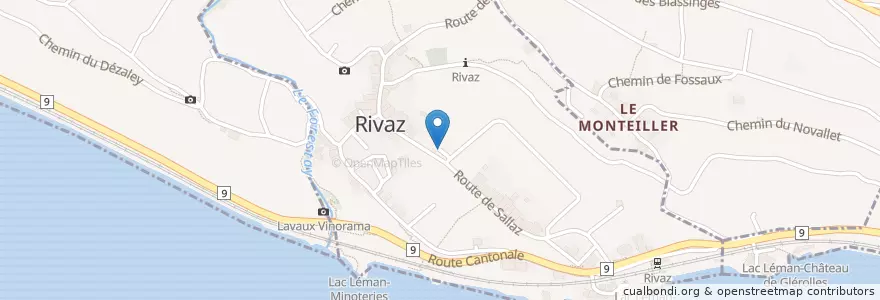 Mapa de ubicacion de Prelyire en Швейцария, Во, Rivaz.