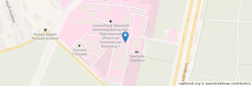 Mapa de ubicacion de Приемное отделение срочное en Russia, Central Federal District, Voronezh Oblast, Voronezh.