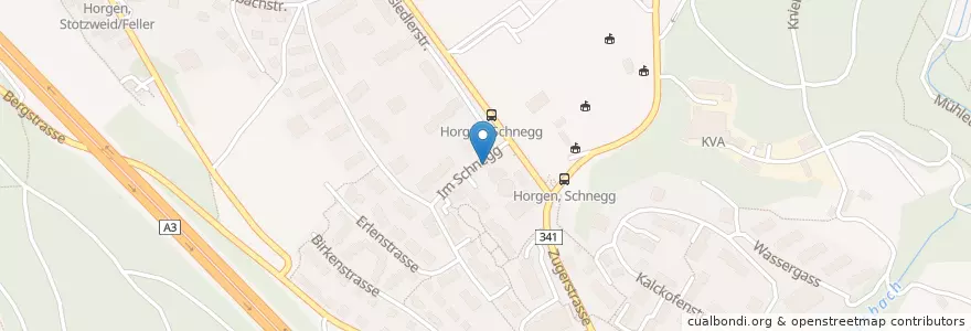 Mapa de ubicacion de Migrol Tankstelle AMAG Horgen en Schweiz/Suisse/Svizzera/Svizra, Zürich, Bezirk Horgen, Horgen.
