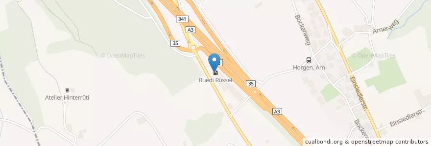 Mapa de ubicacion de Ruedi Rüssel en 瑞士, 蘇黎世, Bezirk Horgen, Horgen.