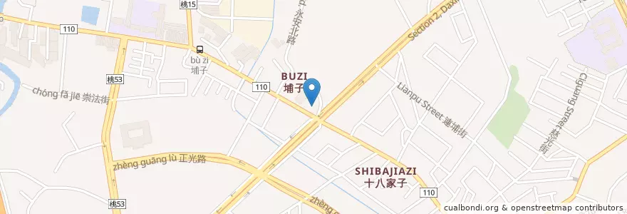 Mapa de ubicacion de 大台北動物醫院 en 台湾, 桃園市, 桃園区.