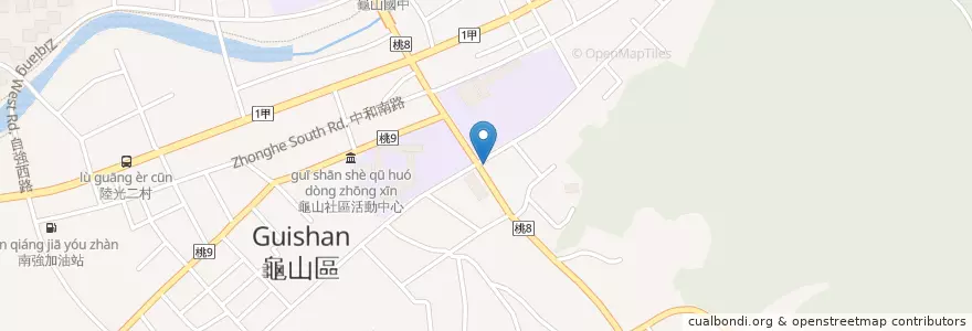 Mapa de ubicacion de 新資生藥局 en Taiwan, 桃園市, 龜山區.