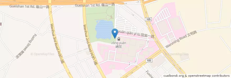 Mapa de ubicacion de 林口長庚醫院 en 台湾, 桃園市.