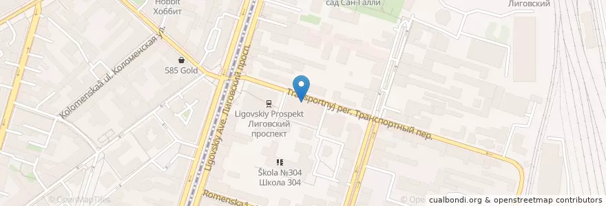 Mapa de ubicacion de Вита Экспресс en Russia, Northwestern Federal District, Leningrad Oblast, Saint Petersburg, Центральный Район, Округ Лиговка-Ямская.