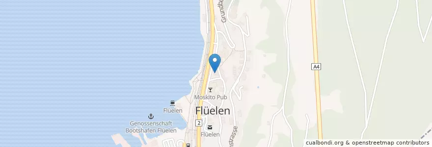Mapa de ubicacion de MIXX en سوئیس, Uri, Flüelen.