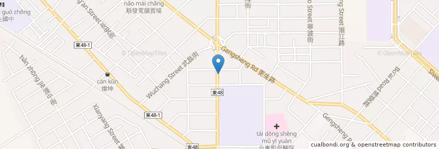 Mapa de ubicacion de 蕃薯伯楊記地瓜酥專賣店 en 臺灣, 臺灣省, 臺東縣, 臺東市.