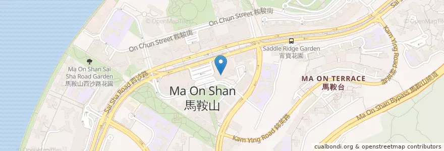 Mapa de ubicacion de 麺屋武蔵 Menya Musashi en China, Hong Kong, Provincia De Cantón, Nuevos Territorios, 沙田區 Sha Tin District.