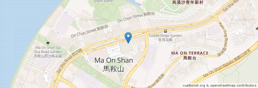 Mapa de ubicacion de Parkview en 中国, 香港 Hong Kong, 广东省, 新界 New Territories, 沙田區 Sha Tin District.