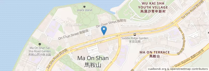 Mapa de ubicacion de 傷心酸辣粉 en China, Hongkong, Guangdong, New Territories, 沙田區 Sha Tin District.