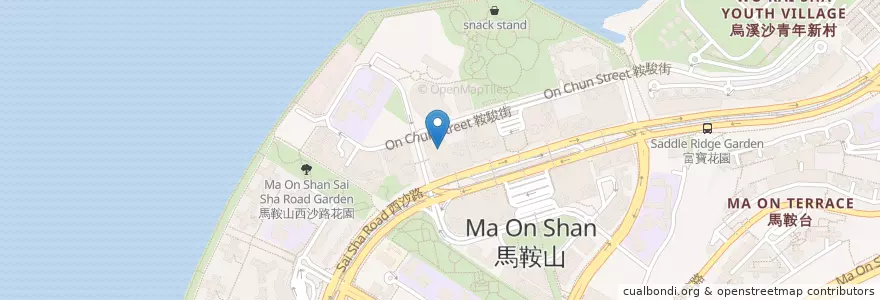 Mapa de ubicacion de 朗思國際幼稚園/幼兒園 (馬鞍山分校) Think International Kindergarten/Nursery (Ma On Shan Campus) en Cina, Hong Kong, Guangdong, Nuovi Territori, 沙田區 Sha Tin District.