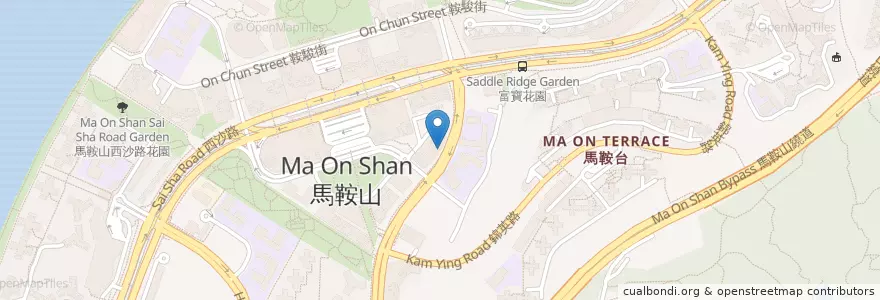 Mapa de ubicacion de 特色糖水小食 en Chine, Hong Kong, Guangdong, Nouveaux Territoires, 沙田區 Sha Tin District.
