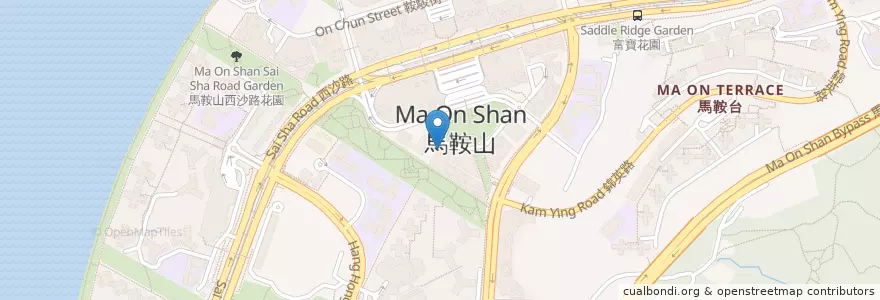 Mapa de ubicacion de 恩榮美食‧家 en 中国, 香港, 广东省, 新界, 沙田區.