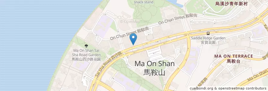 Mapa de ubicacion de 西沙路動物醫院 en 中国, 香港, 广东省, 新界, 沙田區.