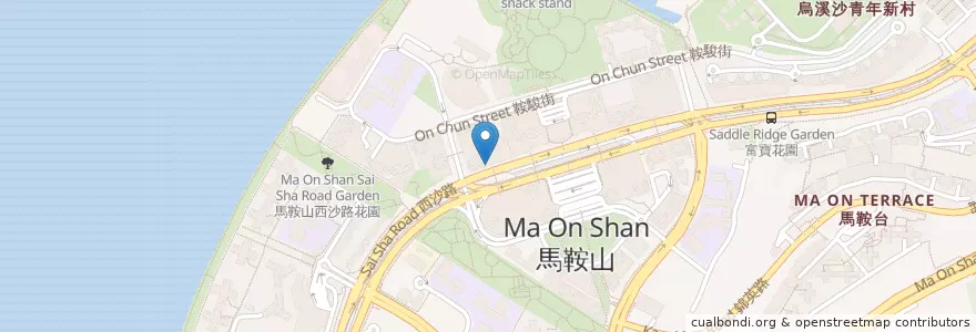 Mapa de ubicacion de 盈健醫務中心 Human Health Medical Centre en 中国, 香港, 広東省, 新界, 沙田區 Sha Tin District.