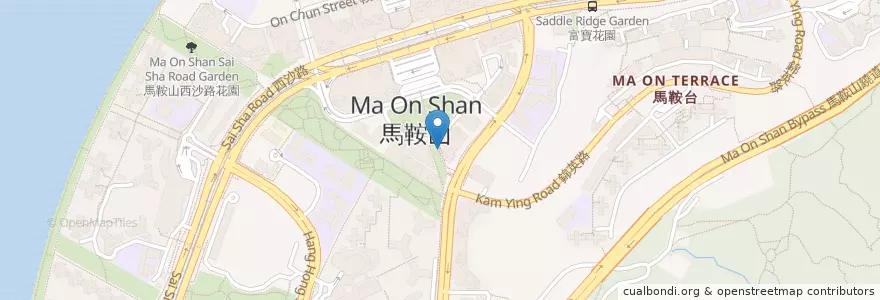 Mapa de ubicacion de 健民醫藥館 Kin Man TCM Clinic en Chine, Hong Kong, Guangdong, Nouveaux Territoires, 沙田區 Sha Tin District.